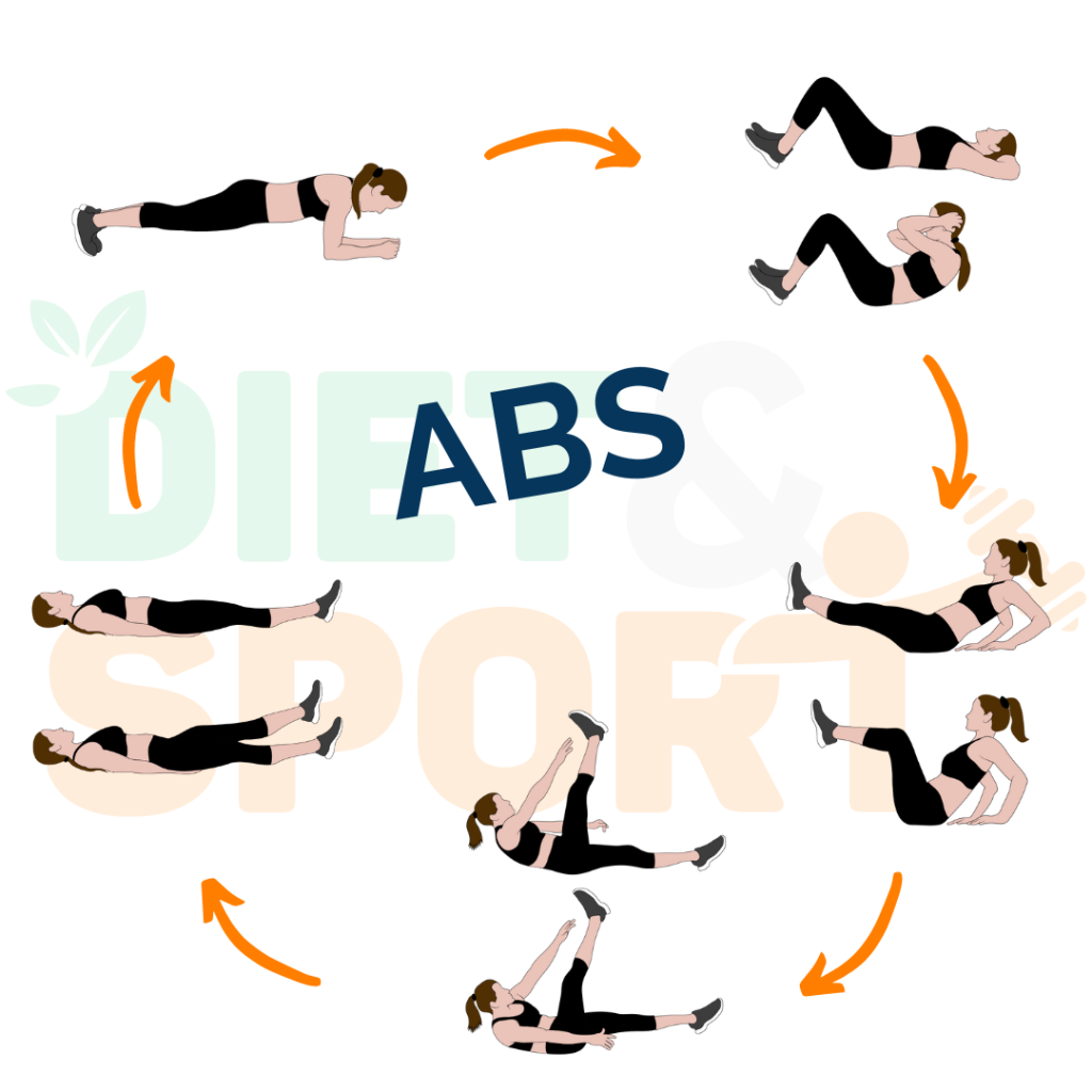 circuit abdominaux